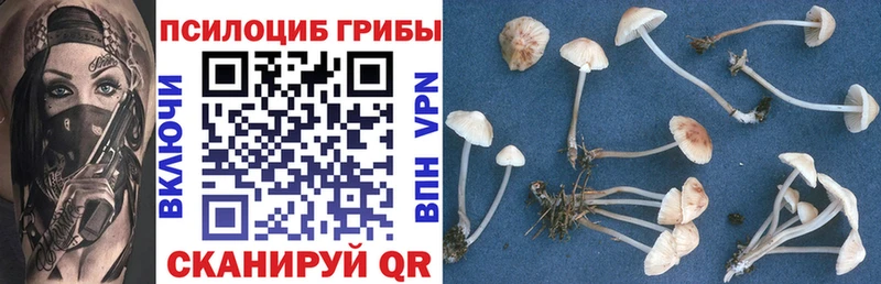 купить наркотики цена  Краснослободск  mega как зайти  Галлюциногенные грибы Psilocybine cubensis 
